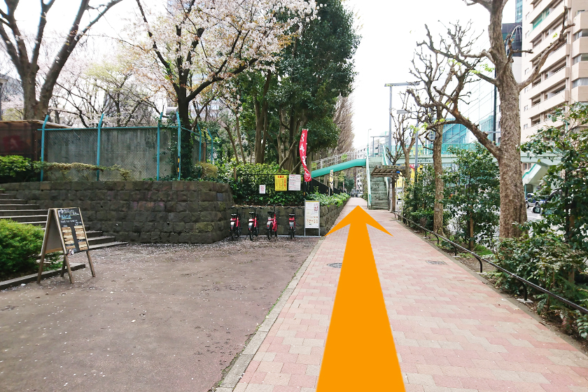 「新宿中央公園」を左側に坂を上ります