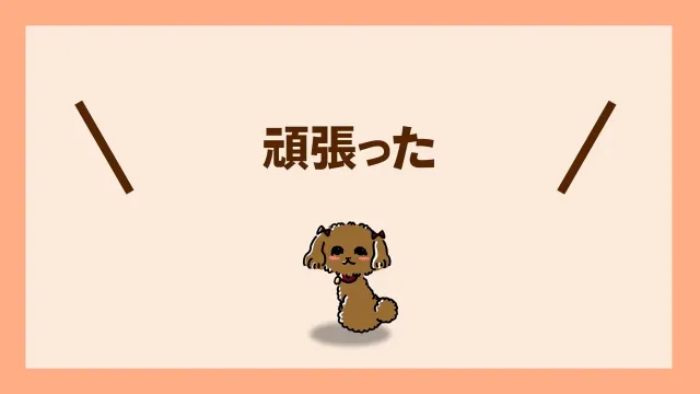 人材支援会社UZUZの代表、岡本啓毅氏による解説動画