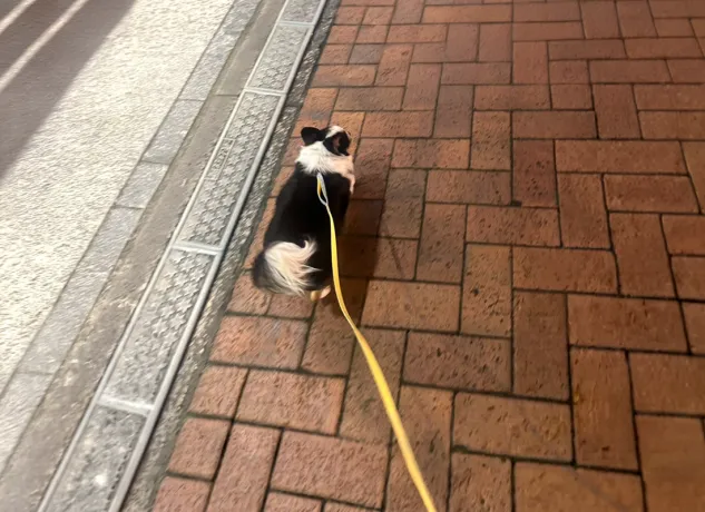 M.Y.さん