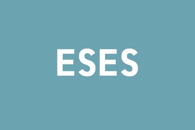 2021年度設立のSES会社の中でNo.1の成長を遂げた「株式会社ESES（イーエス）」が目指していること